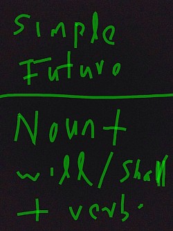 In this tense ,we have used present form of verb  and we have used 'will'for singular and shall for plural nouns.