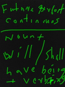 In this tense we have used ing  form of verb  with 'will have being  or shall have  being.